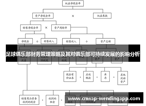 足球俱乐部财务管理策略及其对俱乐部可持续发展的影响分析 足球俱乐部财务管理策略及其对俱乐部可持续发展的影响分析