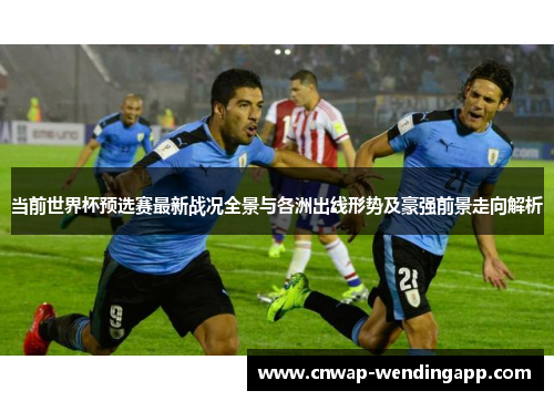 当前世界杯预选赛最新战况全景与各洲出线形势及豪强前景走向解析