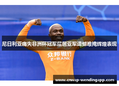 尼日利亚痛失非洲杯冠军屈居亚军遗憾难掩辉煌表现