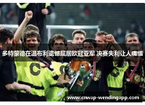 多特蒙德在温布利遗憾屈居欧冠亚军 决赛失利让人痛惜 多特蒙德在温布利遗憾屈居欧冠亚军 决赛失利让人痛惜