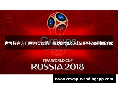 世界杯官方门票购买攻略与真伪辨别及入场观赛权益指南详解